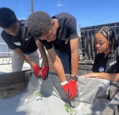 Three students in black t-shirts help build garden boxes at a local community center.